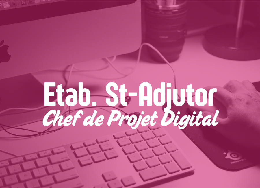 Digital Project Manager